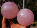 Polished Gemmy Star Rose Quartz Spheres x 3 From Madagascar - Toprock Gemstones and Minerals 