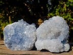 Natural Blue Celestite Specimens x 2 From Sakoany, Madagascar - Toprock Gemstones and Minerals 