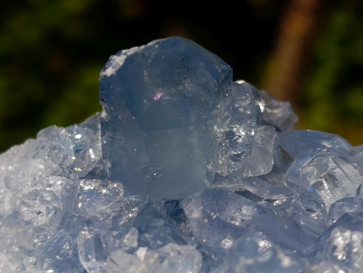 Natural Blue Celestite Specimens x 2 From Sakoany, Madagascar - Toprock Gemstones and Minerals 