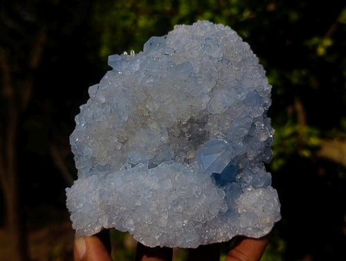Natural Blue Celestite Specimens x 2 From Sakoany, Madagascar - Toprock Gemstones and Minerals 