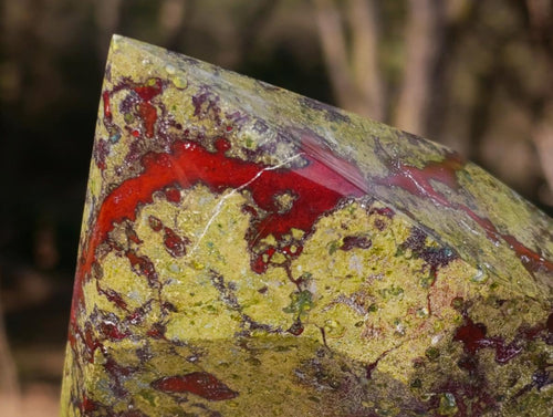Polished Large Bastite Dragonsblood Stone Display Crystal x 1 From Tshipise, South Africa - Toprock Gemstones and Minerals 