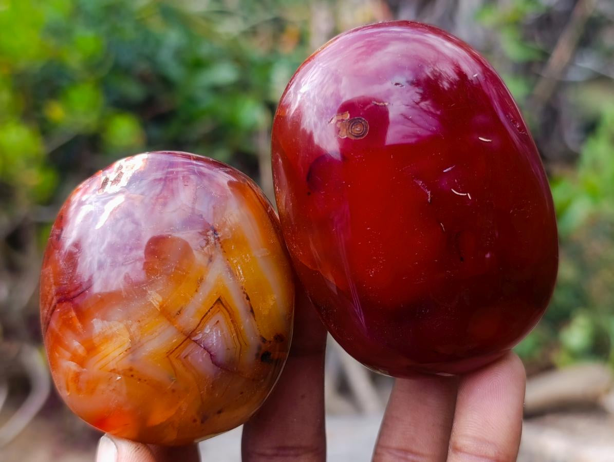 Polished Carnelian Agate Gemstone Galets x 12 From Madagascar - Toprock Gemstones and Minerals 