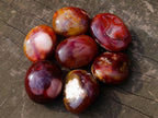 Polished Carnelian Agate Gemstone Galets x 12 From Madagascar - Toprock Gemstones and Minerals 
