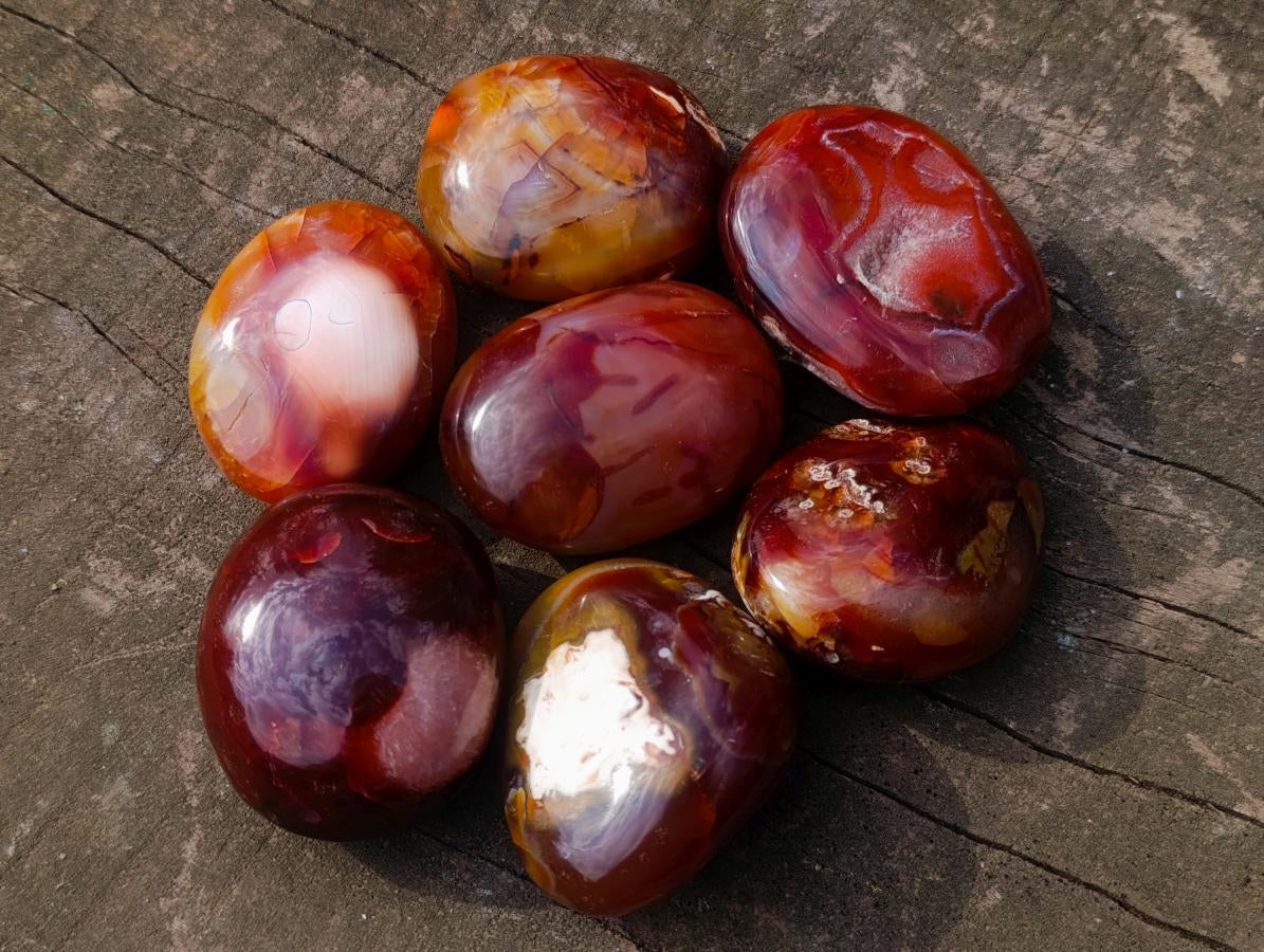 Polished Carnelian Agate Gemstone Galets x 12 From Madagascar - Toprock Gemstones and Minerals 