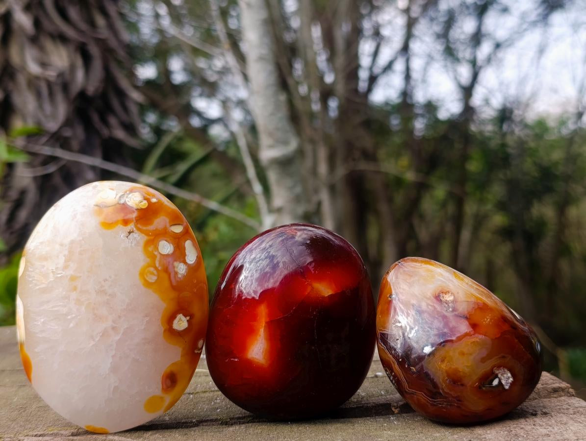 Polished Carnelian Agate Gemstone Galets x 12 From Madagascar - Toprock Gemstones and Minerals 