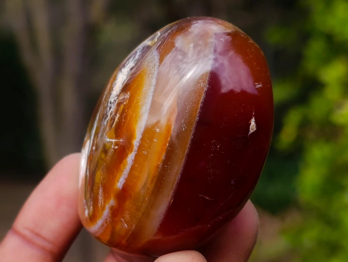 Polished Carnelian Agate Gemstone Galets x 12 From Madagascar - Toprock Gemstones and Minerals 