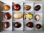 Polished Carnelian Agate Gemstone Galets x 12 From Madagascar - Toprock Gemstones and Minerals 