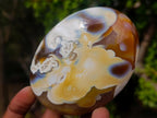 Polished Carnelian Agate Gemstone Galets x 12 From Madagascar - Toprock Gemstones and Minerals 