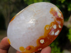 Polished Carnelian Agate Gemstone Galets x 12 From Madagascar - Toprock Gemstones and Minerals 