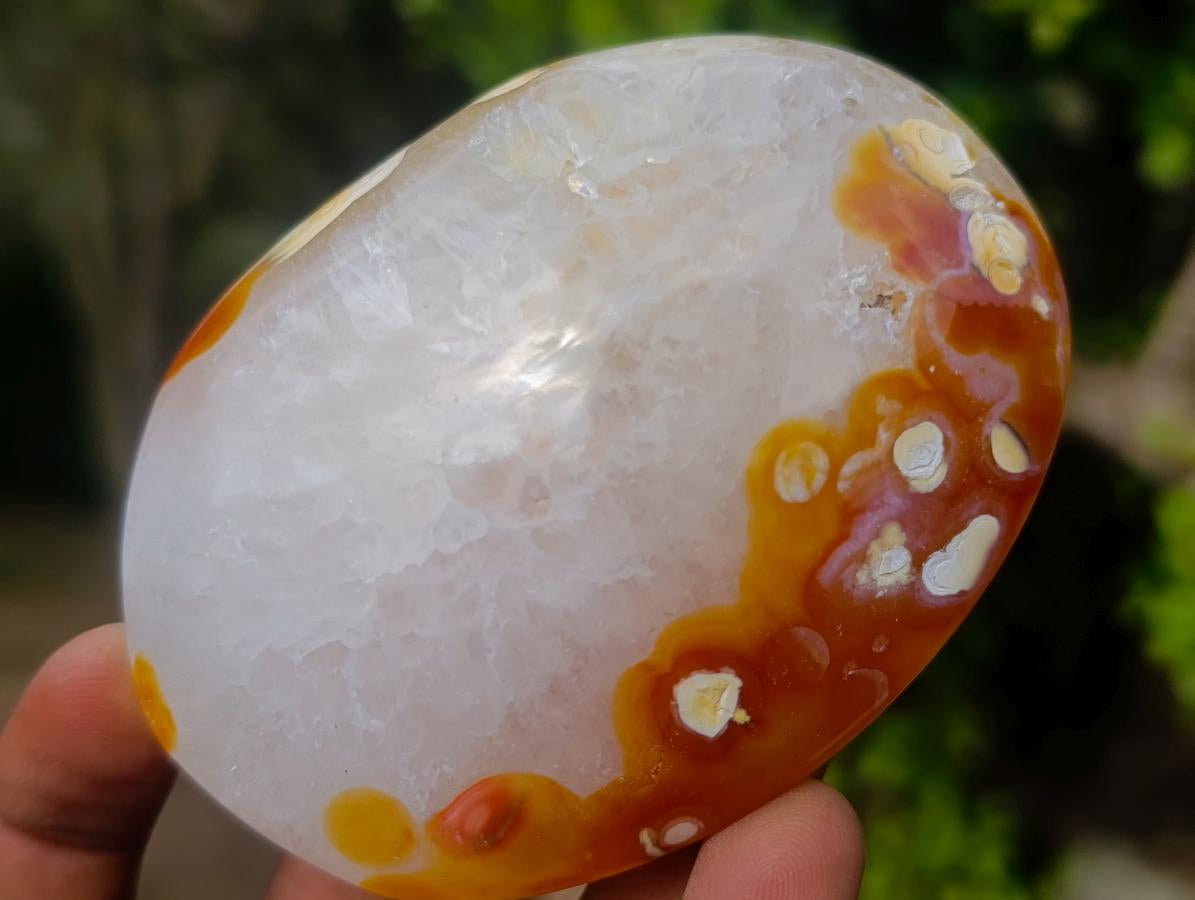 Polished Carnelian Agate Gemstone Galets x 12 From Madagascar - Toprock Gemstones and Minerals 