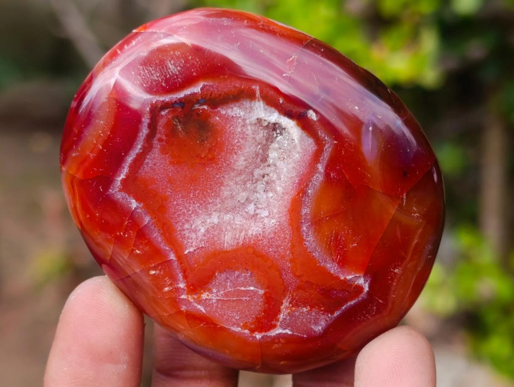 Polished Carnelian Agate Gemstone Galets x 12 From Madagascar - Toprock Gemstones and Minerals 