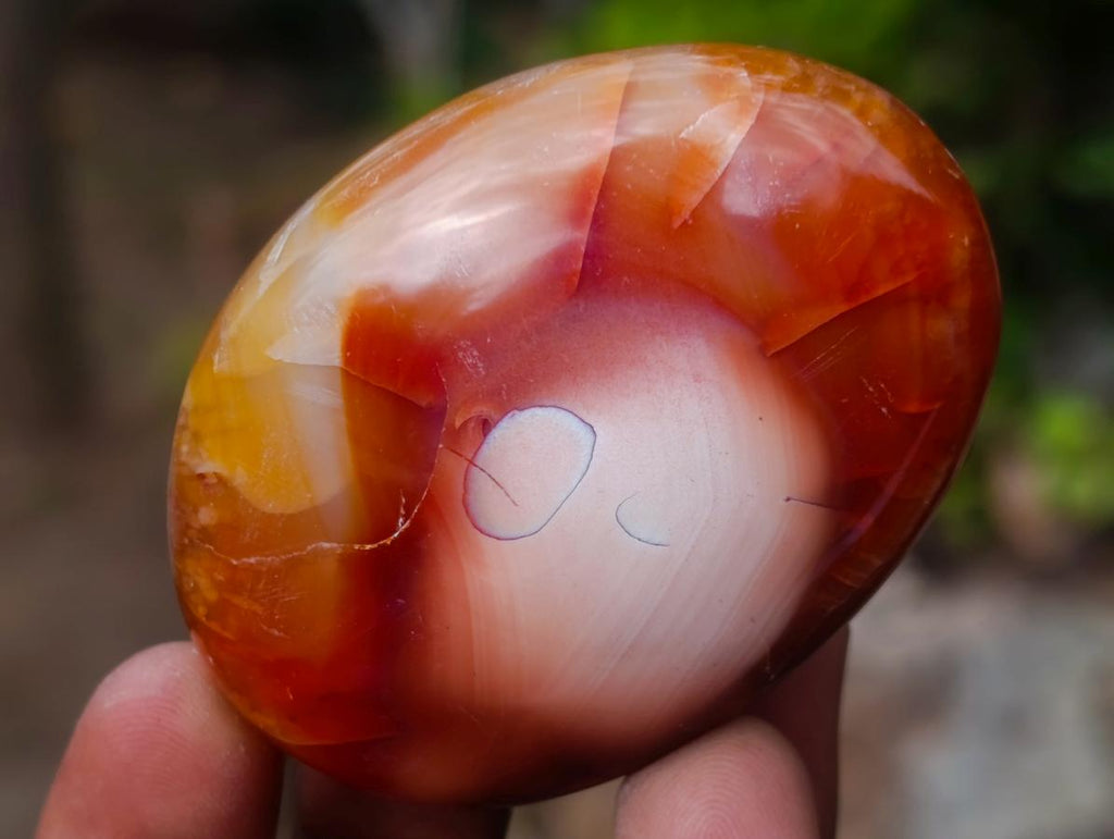 Polished Carnelian Agate Gemstone Galets x 12 From Madagascar - Toprock Gemstones and Minerals 