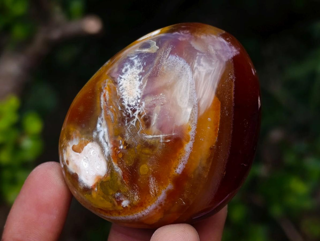 Polished Carnelian Agate Gemstone Galets x 12 From Madagascar - Toprock Gemstones and Minerals 