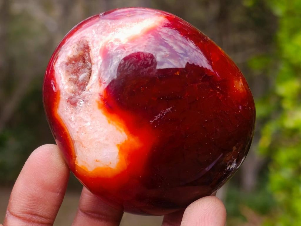 Polished Carnelian Agate Gemstone Galets x 12 From Madagascar - Toprock Gemstones and Minerals 