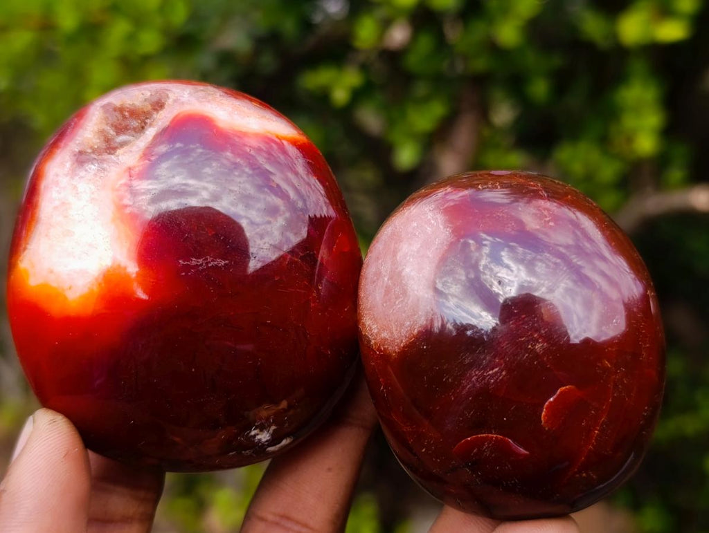 Polished Carnelian Agate Gemstone Galets x 12 From Madagascar - Toprock Gemstones and Minerals 