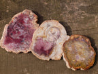 Polished Red Podocarpus Petrified Wood Slices x 6 From Marovoay, Madagascar - Toprock Gemstones and Minerals 