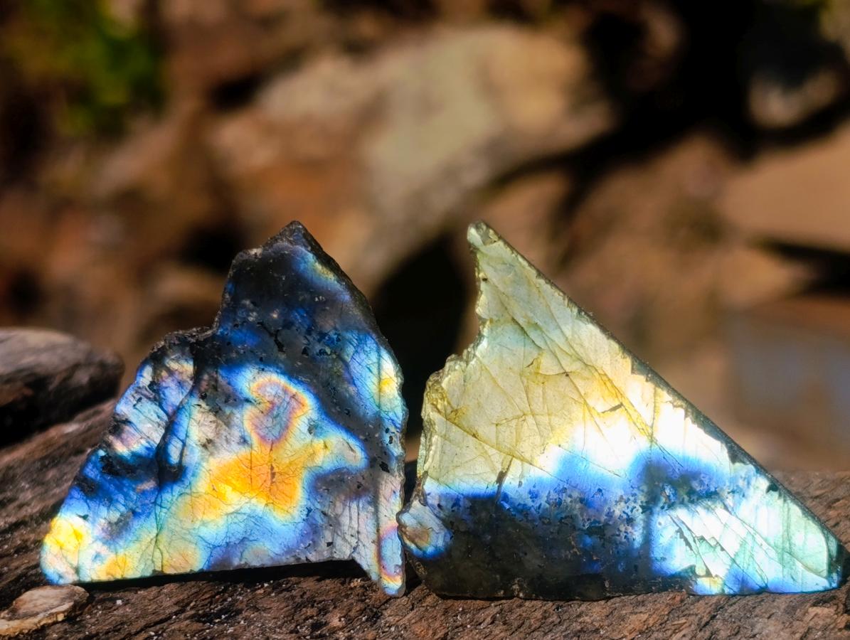 Polished One Side Labradorite Slices x 70 From Madagascar - Toprock Gemstones and Minerals 