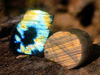 Polished One Side Labradorite Slices x 70 From Madagascar - Toprock Gemstones and Minerals 