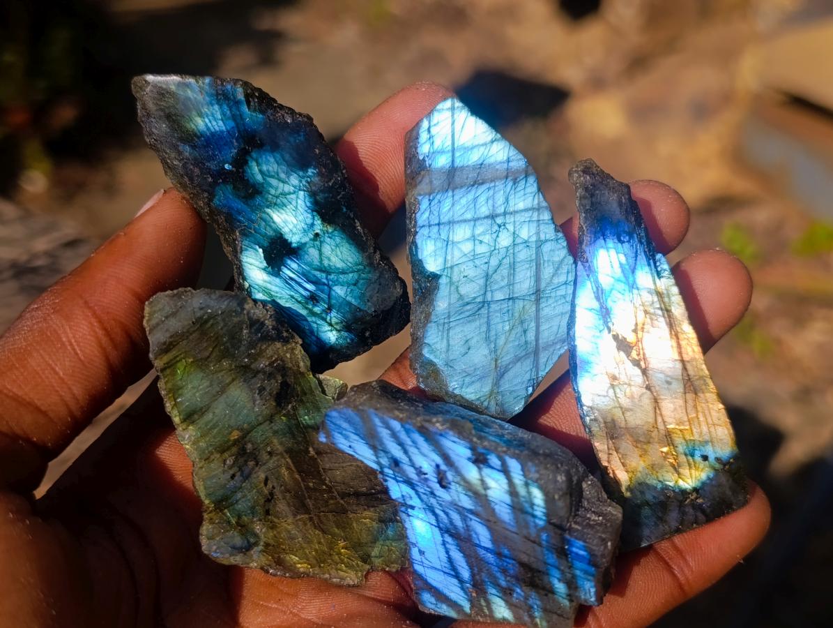 Polished One Side Labradorite Slices x 70 From Madagascar - Toprock Gemstones and Minerals 
