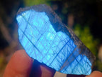 Polished One Side Labradorite Slices x 70 From Madagascar - Toprock Gemstones and Minerals 