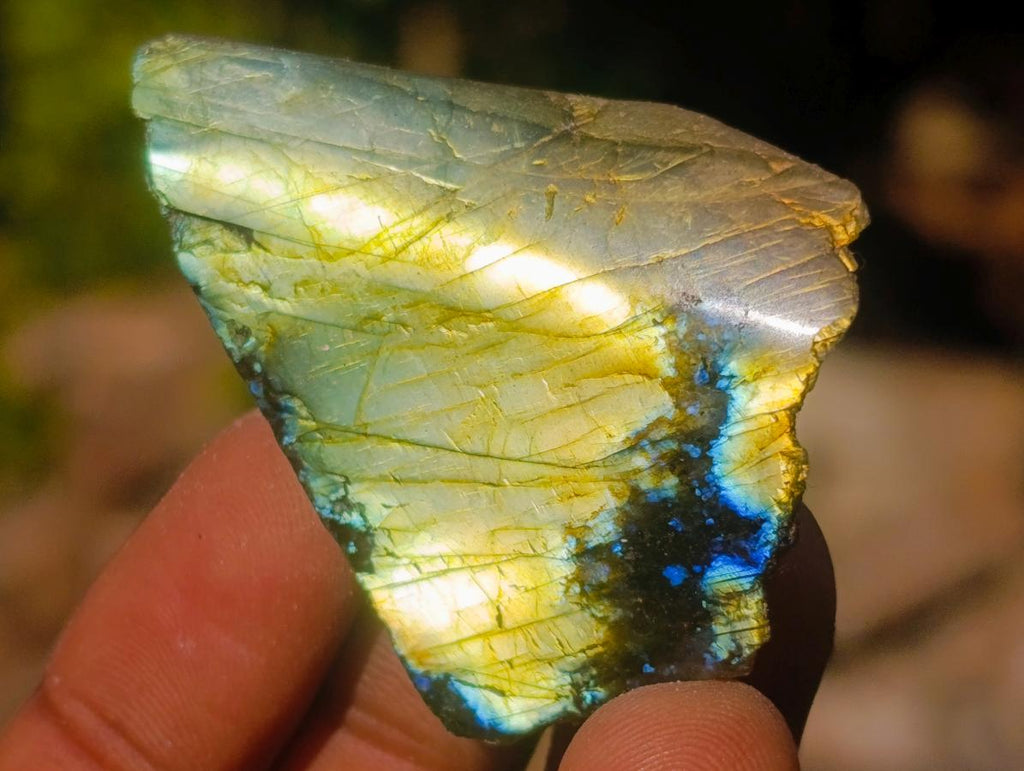 Polished One Side Labradorite Slices x 70 From Madagascar - Toprock Gemstones and Minerals 