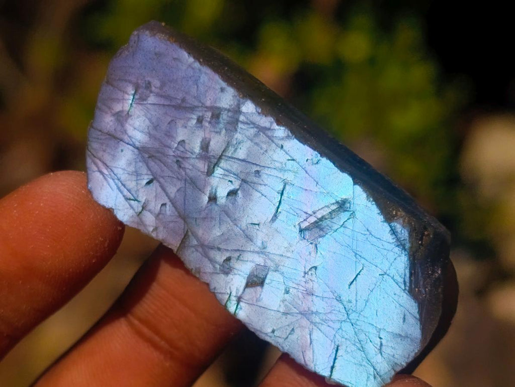 Polished One Side Labradorite Slices x 70 From Madagascar - Toprock Gemstones and Minerals 