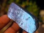 Polished One Side Labradorite Slices x 70 From Madagascar - Toprock Gemstones and Minerals 