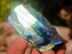 Polished One Side Labradorite Slices x 70 From Madagascar - Toprock Gemstones and Minerals 