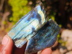 Polished One Side Labradorite Slices x 70 From Madagascar - Toprock Gemstones and Minerals 