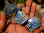 Polished One Side Labradorite Slices x 70 From Madagascar - Toprock Gemstones and Minerals 
