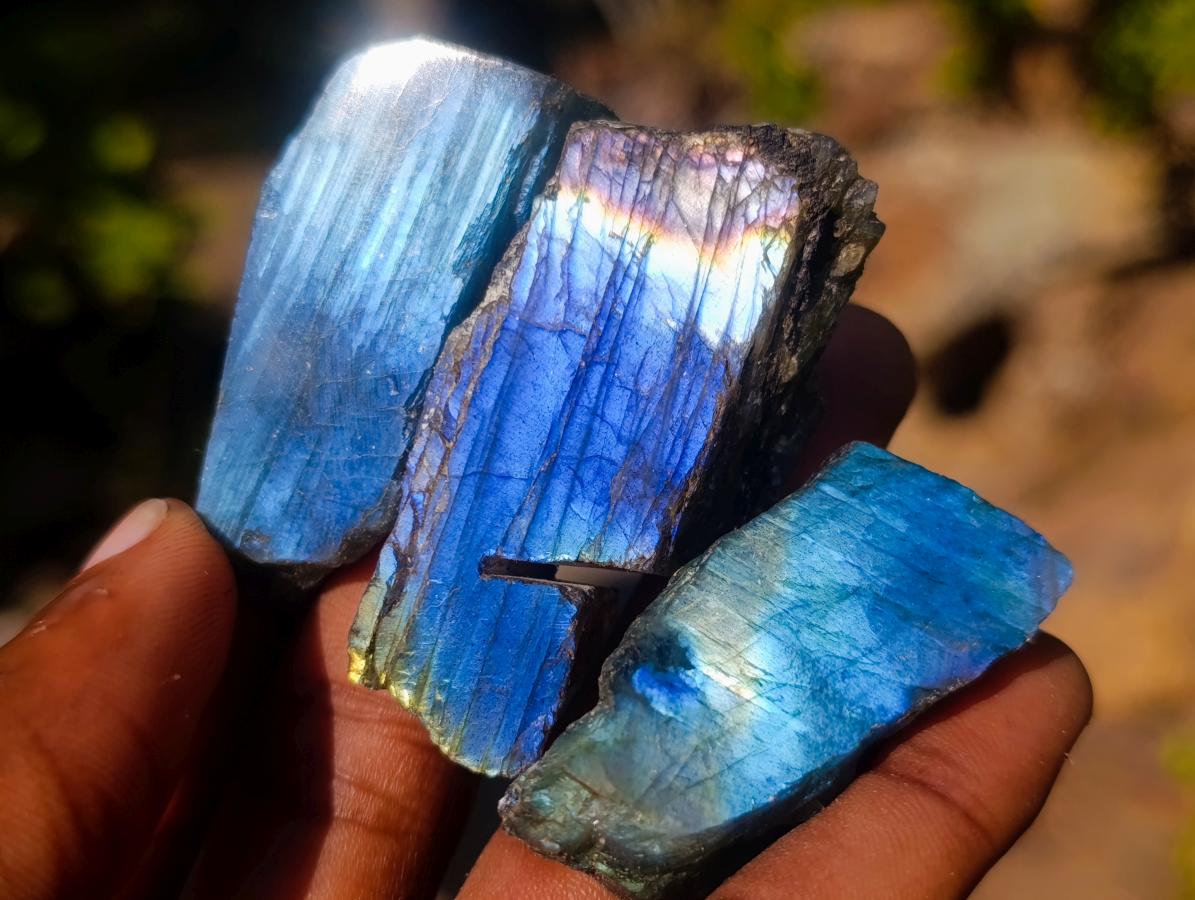 Polished One Side Labradorite Slices x 70 From Madagascar - Toprock Gemstones and Minerals 