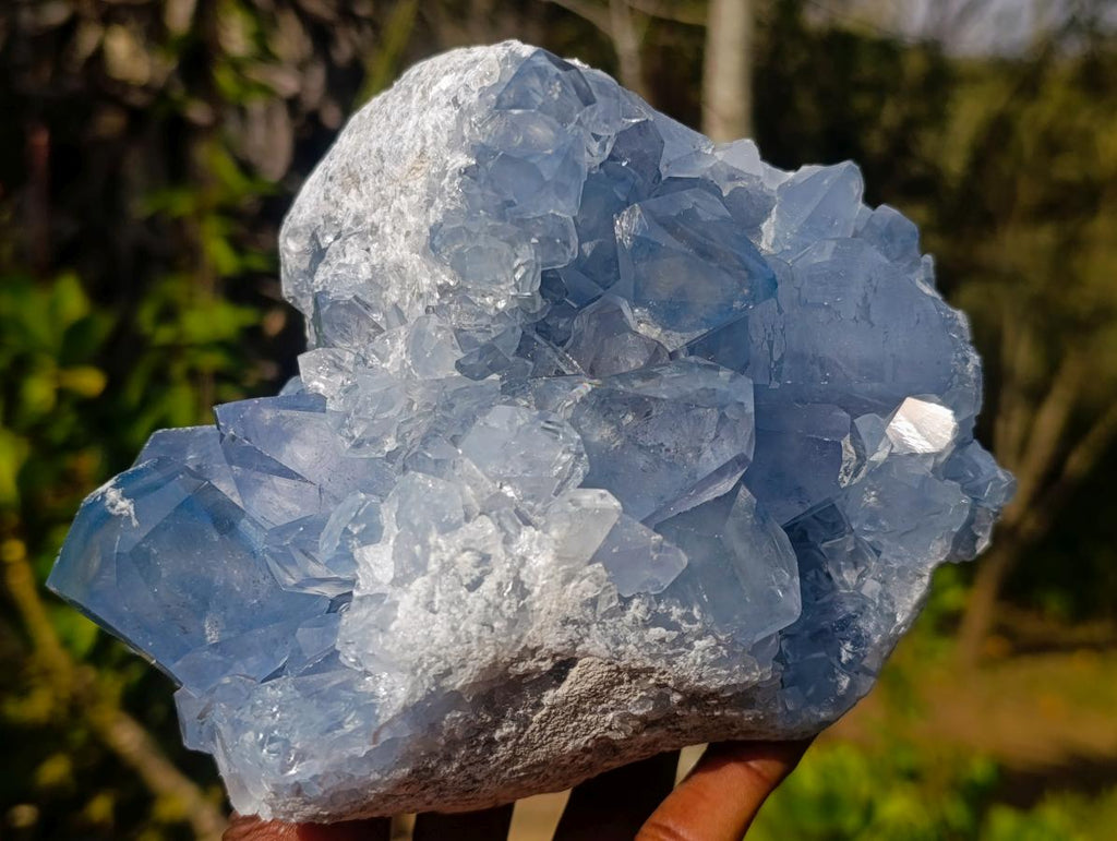 Natural Large Blue Celestite Specimen x 1 From Sakoany, Madagascar - Toprock Gemstones and Minerals 