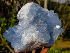 Natural Large Blue Celestite Specimen x 1 From Sakoany, Madagascar - Toprock Gemstones and Minerals 