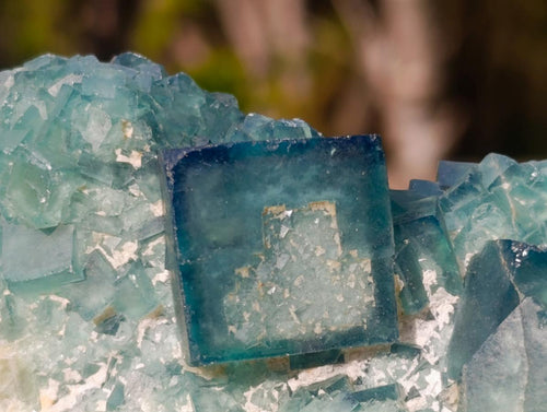 Natural Green Cubic Fluorite Specimens x 6 From Mandrosonoro, Madagascar - Toprock Gemstones and Minerals 