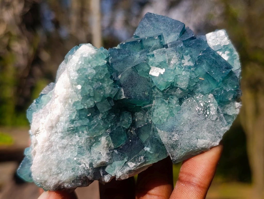 Natural Green Cubic Fluorite Specimens x 6 From Mandrosonoro, Madagascar - Toprock Gemstones and Minerals 