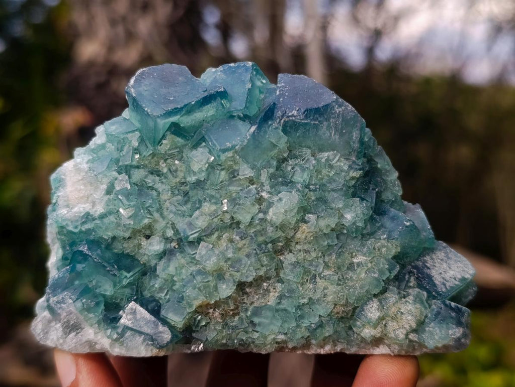 Natural Green Cubic Fluorite Specimens x 6 From Mandrosonoro, Madagascar - Toprock Gemstones and Minerals 