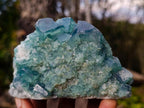 Natural Green Cubic Fluorite Specimens x 6 From Mandrosonoro, Madagascar - Toprock Gemstones and Minerals 