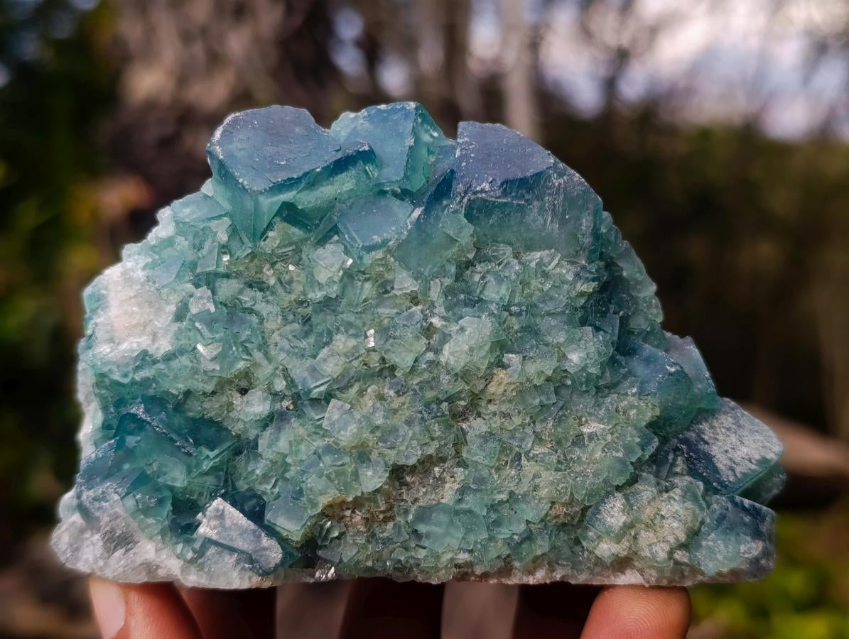 Natural Green Cubic Fluorite Specimens x 6 From Mandrosonoro, Madagascar - Toprock Gemstones and Minerals 