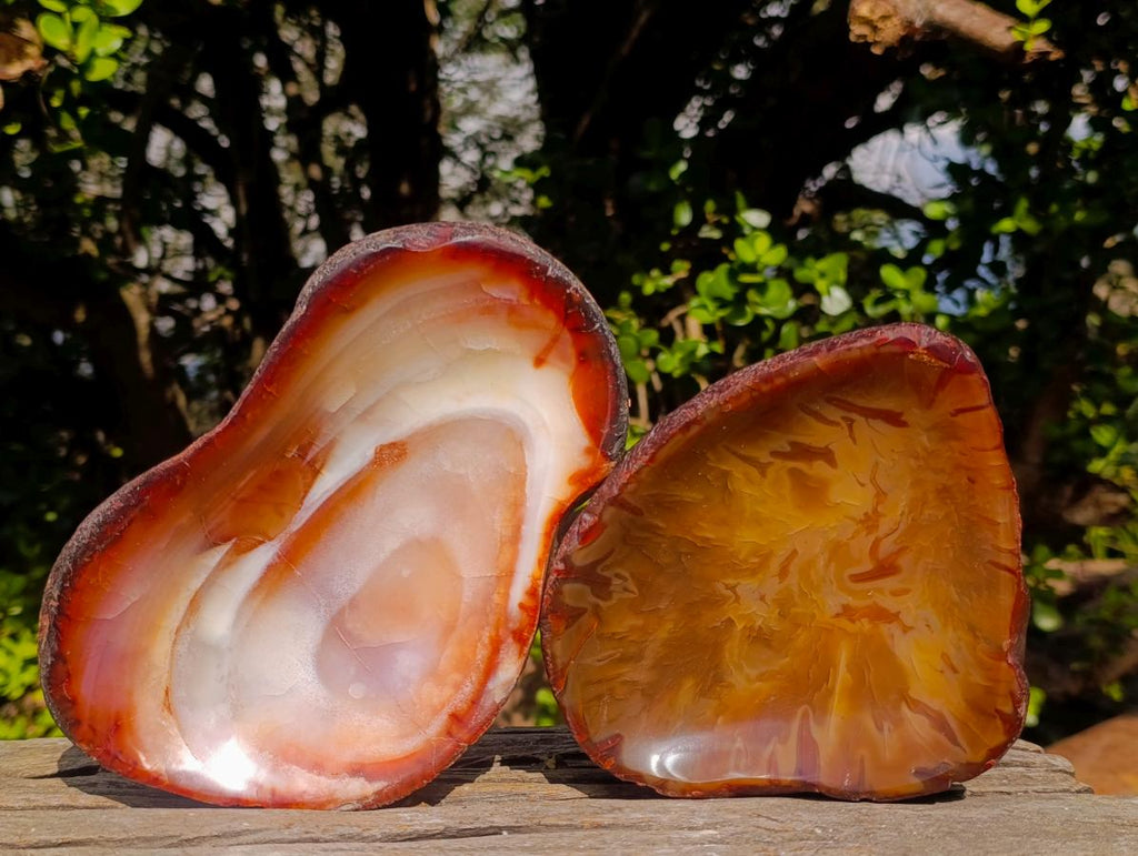Polished on One Side Carnelian Agate Gemstone Bowls x 2 From Madagascar - Toprock Gemstones and Minerals 