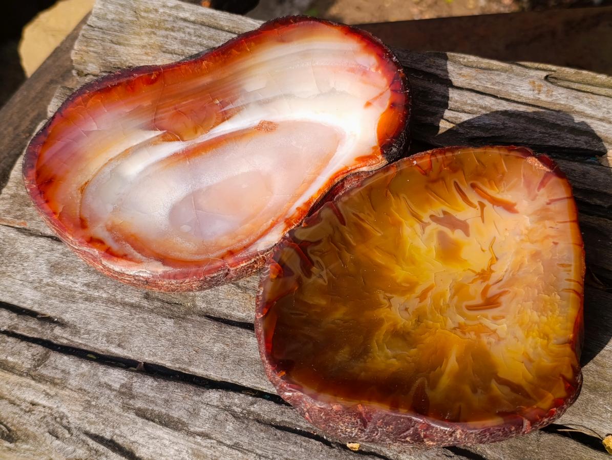 Polished on One Side Carnelian Agate Gemstone Bowls x 2 From Madagascar - Toprock Gemstones and Minerals 