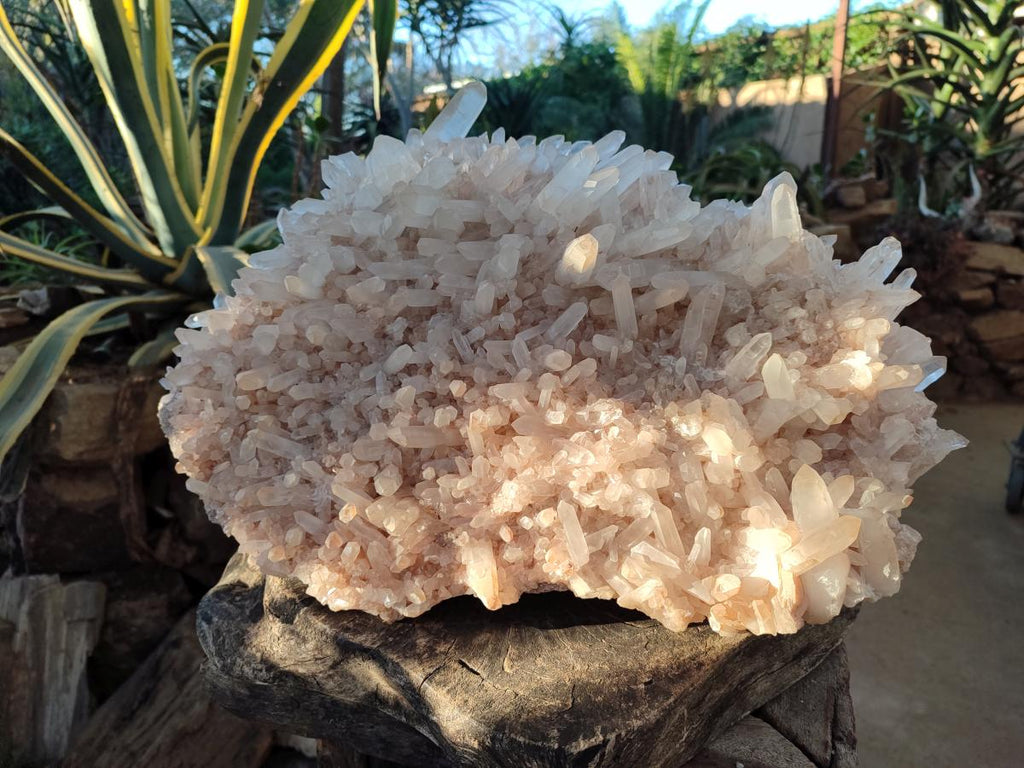 Natural XL Cascading Malagasy Quartz Crystal Cluster x 1 From Madagascar - Toprock Gemstones and Minerals 