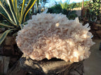 Natural XL Cascading Malagasy Quartz Crystal Cluster x 1 From Madagascar - Toprock Gemstones and Minerals 