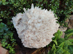 Natural XL Cascading Malagasy Quartz Crystal Cluster x 1 From Madagascar - Toprock Gemstones and Minerals 