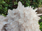 Natural XL Cascading Malagasy Quartz Crystal Cluster x 1 From Madagascar - Toprock Gemstones and Minerals 