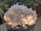 Natural XL Cascading Malagasy Quartz Crystal Cluster x 1 From Madagascar - Toprock Gemstones and Minerals 