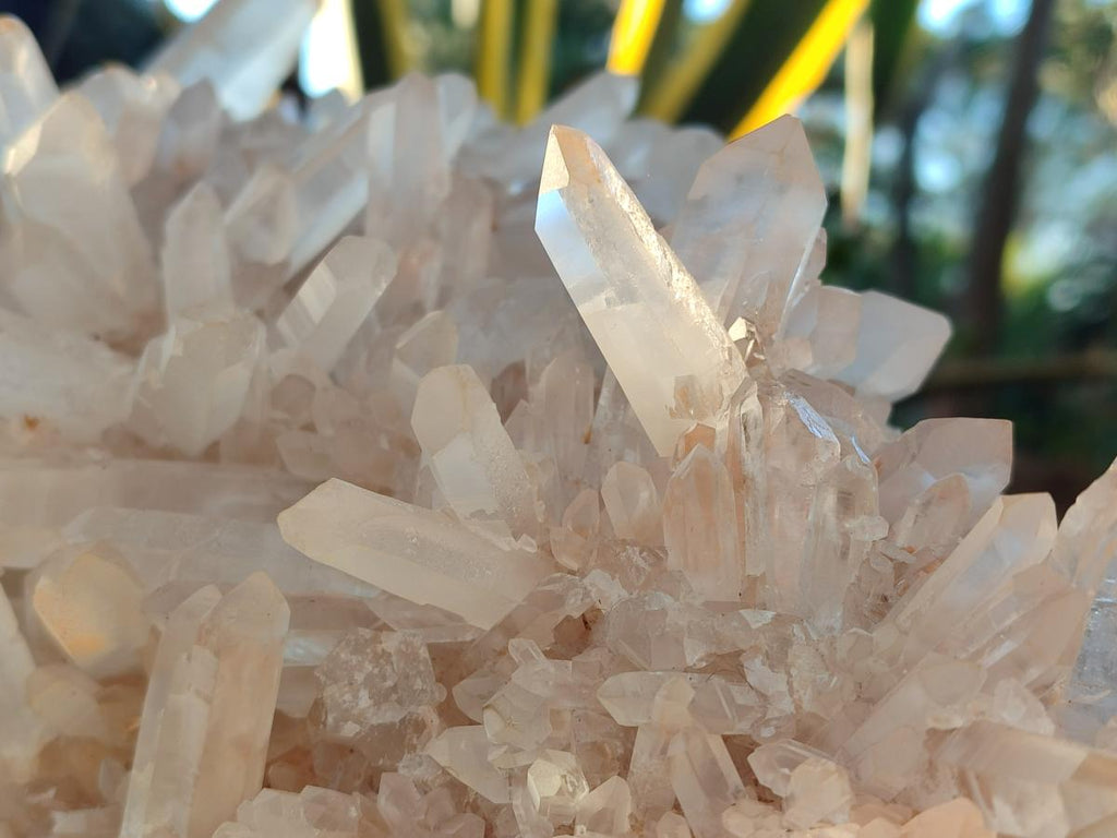 Natural XL Cascading Malagasy Quartz Crystal Cluster x 1 From Madagascar - Toprock Gemstones and Minerals 
