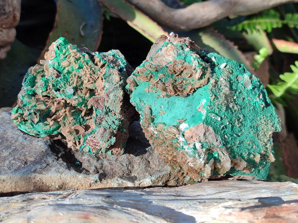 Natural Rare Bladed Barite Specimens with Malachite x 2 From Shangulowé Mine, Congo - Toprock Gemstones and Minerals 