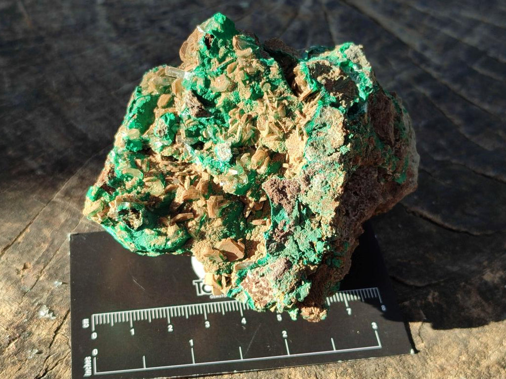 Natural Rare Bladed Barite Specimens with Malachite x 2 From Shangulowé Mine, Congo - Toprock Gemstones and Minerals 