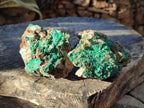 Natural Rare Bladed Barite Specimens with Malachite x 2 From Shangulowé Mine, Congo - Toprock Gemstones and Minerals 