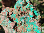 Natural Rare Bladed Barite Specimens with Malachite x 2 From Shangulowé Mine, Congo - Toprock Gemstones and Minerals 